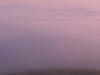 _DSC0012