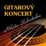 koncert_gitara_small