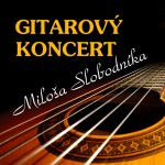 koncert_gitara_small