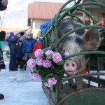 Gazdovská zabíjačka Podkonice