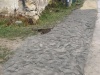 Rekonstrukcia vody v obci